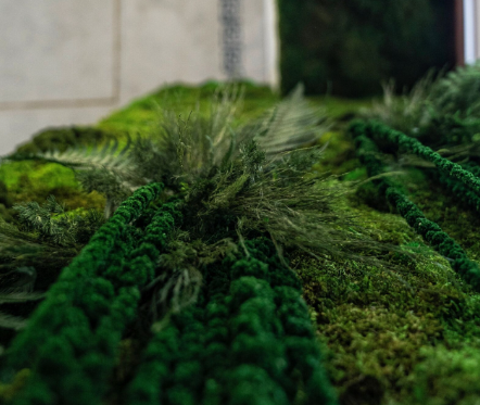 NEW ELEMENT – Green & Fresh